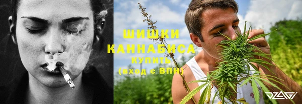 сатива Абинск