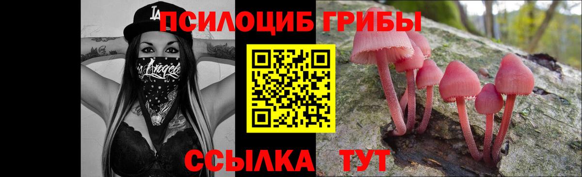 Псилоцибиновые грибы Cubensis  Вход с VPN  Псилоцибиновые грибы мухоморы  Хабаровск 