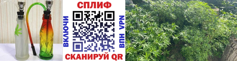 Каннабис Amnesia  Хабаровск 