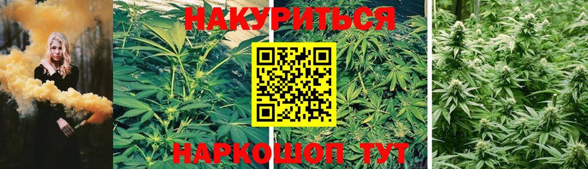 Канабис план Хабаровск